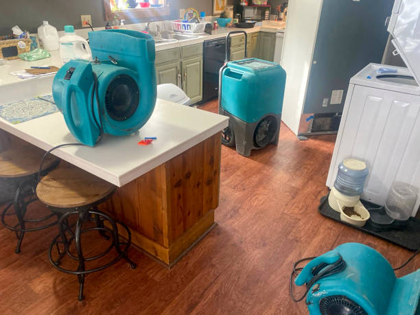 Best Ceiling water damage repair  in Plattsburgh, NY