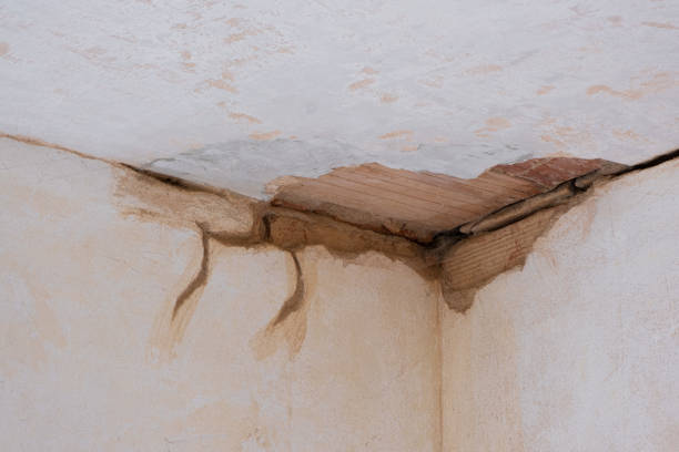 Best Water damage restoration experts  in Plattsburgh, NY