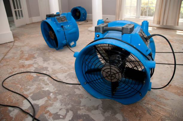 Best Water damage restoration services  in Plattsburgh, NY