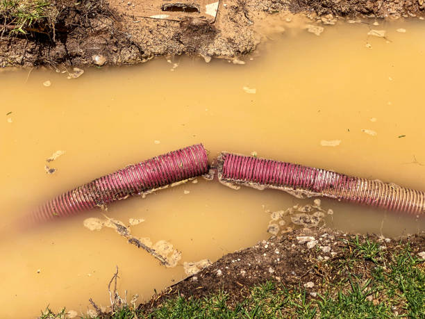 Best Basement water damage restoration  in Plattsburgh, NY